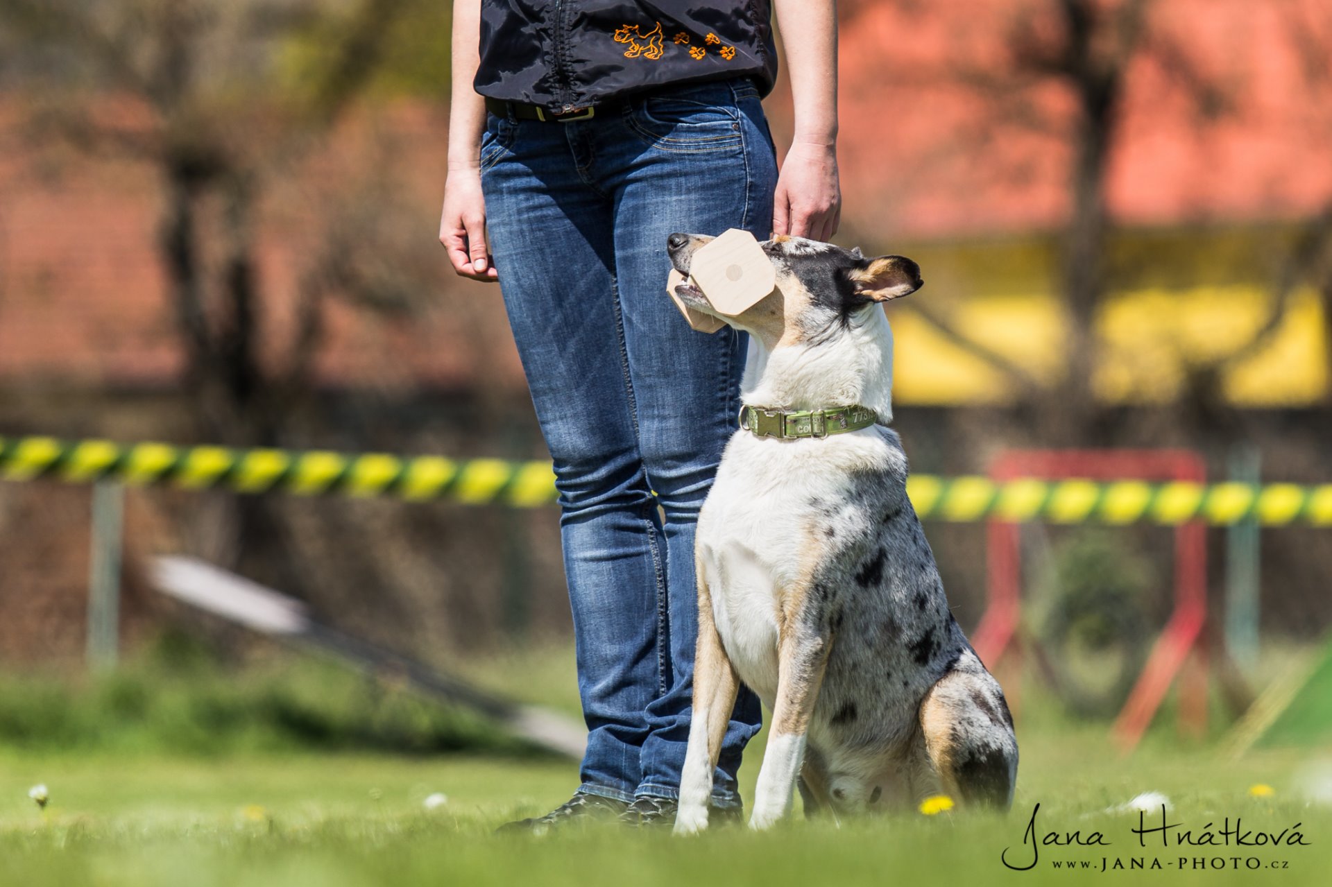 Foto: Jana Hnátková