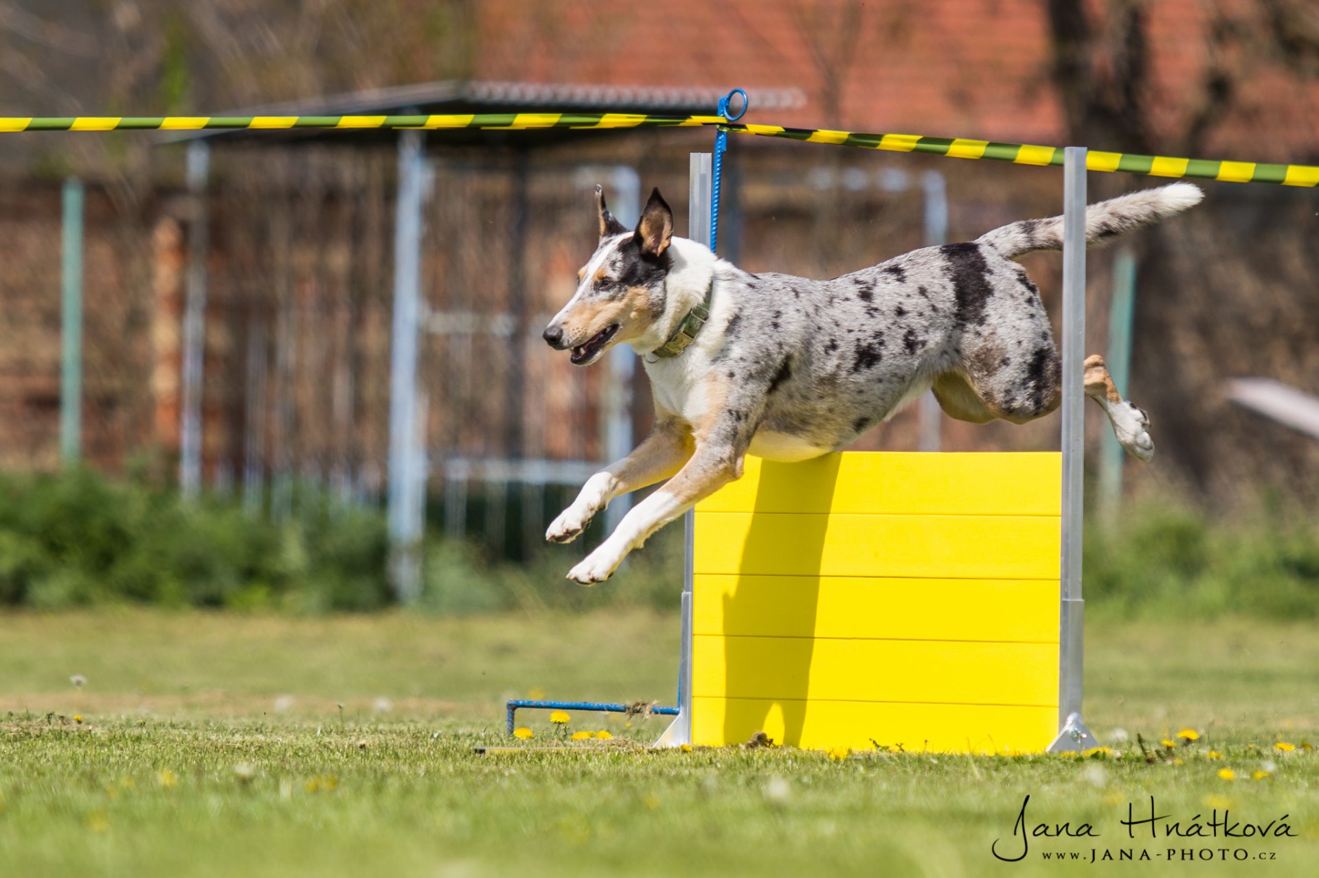 Foto: Jana Hnátková